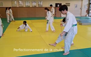 Perfectionnement de la chute avant