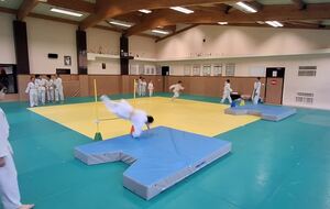 Chute Tatami 2